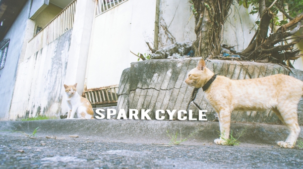spark cycle.jpg